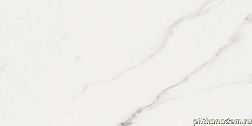 Baldocer Polaris Brillo Rectificado Настенная плитка 30x60 см