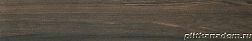 Paradyz Hasel Brown Напольная плитка 16x98,5 см