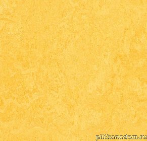 Forbo Marmoleum Click Square 333251 Lemon Zest Виниловая плитка 300х300