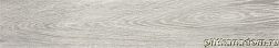 Baldocer Eleganza Silver Rectificado Керамогранит 20x114 см