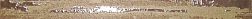 Brennero Concrete Listello Pollock Bronze Бордюр 4х60 см