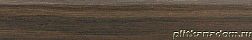 Rako Board DAKVF144 Floor tile Керамогранит 30x120 см