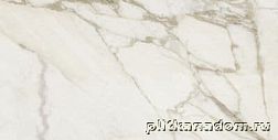 Rex I Вianchi di Rex 726950 Calacatta Nat Керамогранит 60x120 см