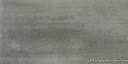 Rako Rush WAKV4522 Obkladacka-kalibrovana Настенная плитка 30x60 см