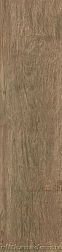 Atlas Concorde Axi Brown Chestnut R10 Керамогранит 22,5х90 см