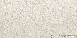 APE Ceramicas Argillae Nisus Neve Rect A037707 Керамогранит 60x120 см