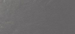 Casalgrande Padana Architecturе Gloss Medium Grey Керамогранит 30х60 см