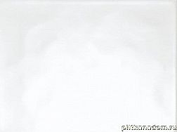 Rako Concept Plus WAAKB000 Wall tile (System) Настенная плитка 25x33 см