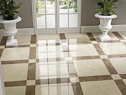 Evolutionmarble