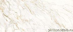 Roberto Cavalli Lush Calacatta Oro Lux Бежевый Полированный Керамогранит 59,4x119 см