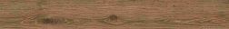 Atlas Concorde Russia Wine Oak 610010002707 Брунелло Керамогранит 20x160