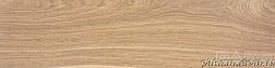 Rako Board DAKVF142 Beige Кеамоганит 30x120 см