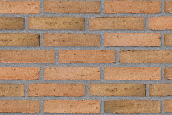 Randers Tegl Classica Nordsee Handstrichziegel RT 433 DNF Кирпич ручной формовки 22,8х2х5,4 см