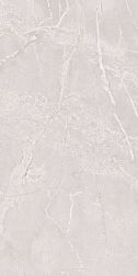 Gresant Ariana Coral Carving Sugar IT Светло-Серый Матовый Керамогранит 60х120 см
