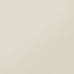 Керамика будущего(CF Systems) Моноколор CF 00 Аворио Керамогранит матовый Rett 60х19,5 см