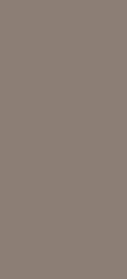 Estima Solutions Solid Color Taupe TM05 Коричневый Неполированный Ректифицированный Керамогранит 100х300 см