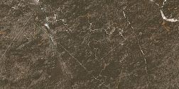 Ocean Ceramic Иран Baron Brown Керамогранит 60х120 см