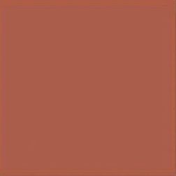 Vives Monocolor Teja Напольная плитка 20x20 см