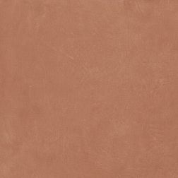 APE Ceramicas Argillae Coral Rect. A037678 Керамогранит 60x60 см