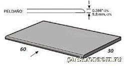 Apavisa Metal Titanium Natural Peldano-60 Ступень 29,75х59,55 см