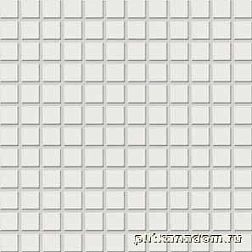 Rako Color Two GDM02023 Мозаика 2,5x2,5 30x30 см