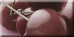 Absolut Keramika Cherry 2 Декор 10x20 см