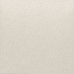 APE Ceramicas Argillae Nisus Neve Rect A037701 Керамогранит 120x120 см