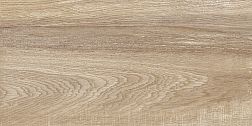 Alma Ceramica Euphoria TWU2550EPH40 Коричневая Рельефная Настенная плитка 24,9х50 см