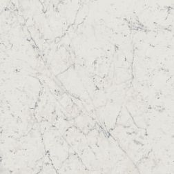 Italon Charme Extra 610010001188 Carrara Nat Ret Керамогранит 60x60 см