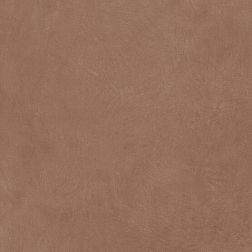 APE Ceramicas Argillae Anti-Slip Terra Rect. A037685 Керамогранит 60x60 см