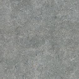 Argenta Ceramica Etienne Grey RC Керамогранит 60x60 см