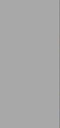 Estima Solutions Solid Color Grey TM04 Серый Неполированный Ректифицированный Керамогранит 100х300 см