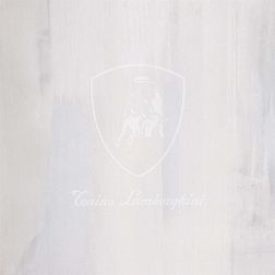 Tonino Lamborghini Nurburgring Decoro Logo Laser Grigio Mat Серый Матовый Декор 120x120 см
