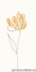 Rako Tulip WITMB009 Декорр 20x40 см
