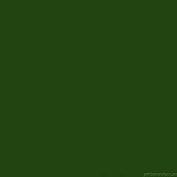 Hitom Ceramics Monocolor PC60455S-A зеленый Керамогранит 60x60 см