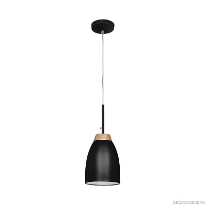 LOFT4402A-BL Подвесной светильник LOFT IT Watchman