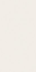 Paradyz Calm Silver Dеcor Shiny Серый Глянцевый Декор 29,8x59,8 см