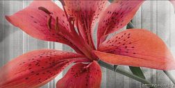 Absolut Keramika Monocolor Mix Flowers RBW Декор 7,5х15 см