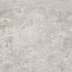 Pamesa Ceramica Erding Silver Decorstone Серый Матовый Керамогранит 120х120 см