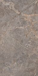 Realistik Индия Laxveer Ceramic Miltonia Grey Серый Глянцевый Керамогранит 60x120 см