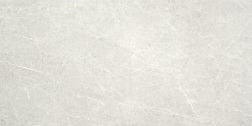 Stylnul (STN Ceramica) Firenze Perla Rect Керамогранит 59,5x120 см