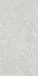 Tau Ceramica Керамогранит ELITE SILVER (6mm) Матовая 120x280 см