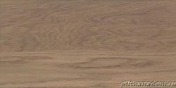 Paradyz Amiche Brown Плитка настенная 30x60 см