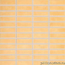 Rako Tulip GDMAJ007 Мозаика (2,5x7,5) 30x30 см