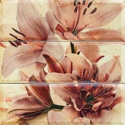 Myr Ceramica Emperador Beige 823 Декор 60х60 (3 плитки) см