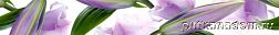 Cerrol Imperia Violetta Listwa Бордюр 6,5х50 см