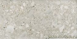 Cerim Timeless Ceppo Di Gre' Lucido Ret Керамогранит 60x120 см
