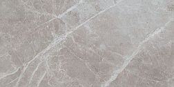 Atlas Concorde Marvel Pro Grey Fleury Настенная плитка 40x80 см