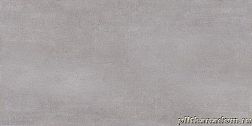 Alma Ceramica Bonita TWU09BNT707 Настенная плитка 24,9х50