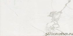 Cerim Timeless Calacata Lucido Ret Керамогранит 60x120 см